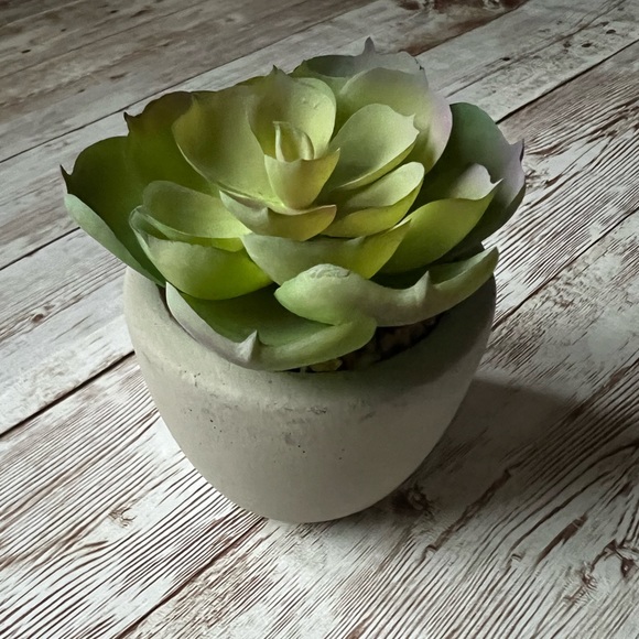 โ๐ผ๐ World Market Faux Succulent Mini Plants - Picture 11 of 14